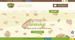 Desktop Screenshot of fortunatiantonio.it